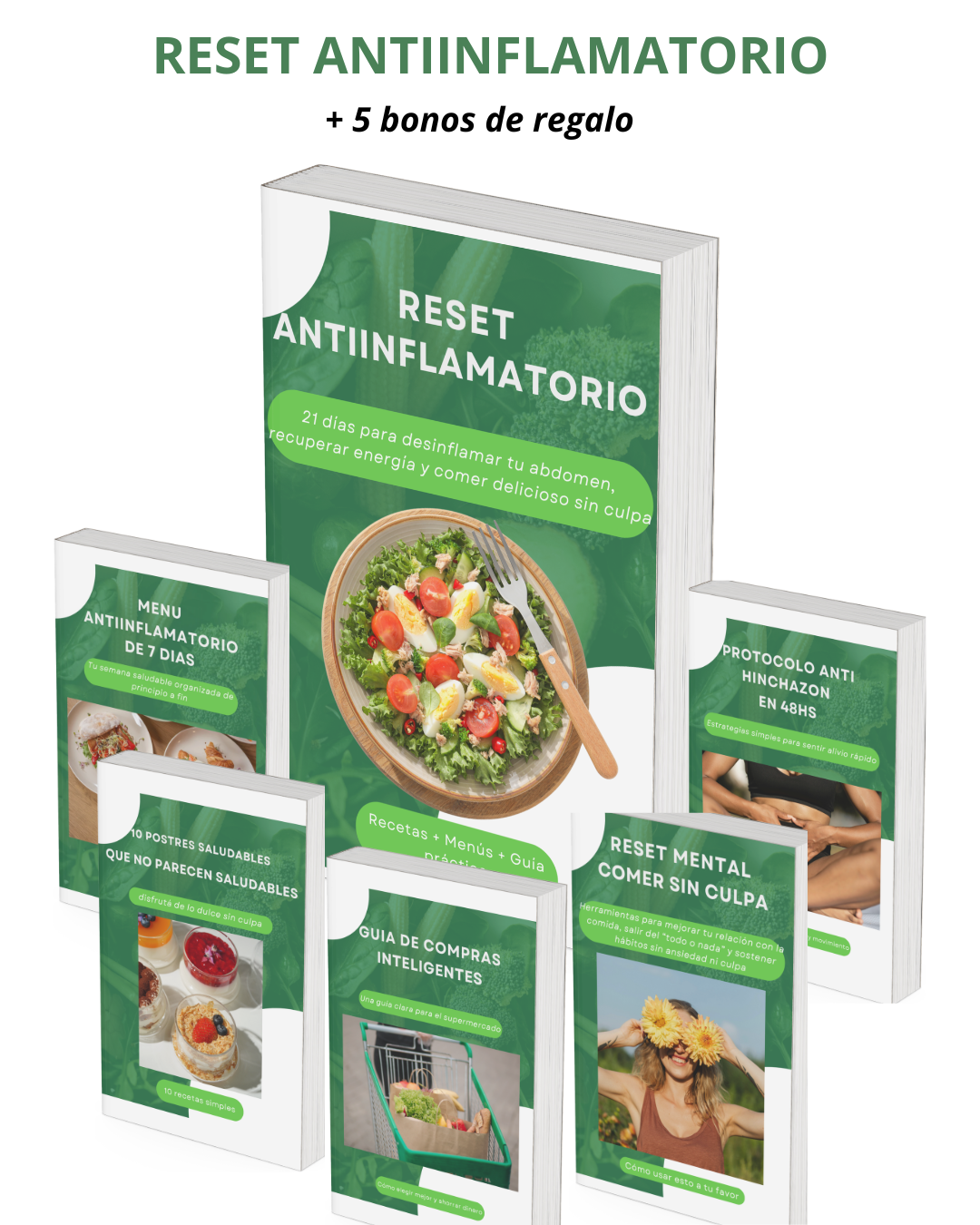 Reset Antiinflamatorio